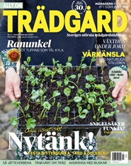 Tidningen Allt om Trädgård 8 nummer