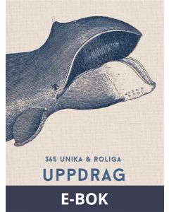365 unika och roliga uppdrag (Epub2), E-bok