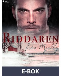 Riddaren från Mjölby, E-bok