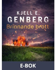 Brinnande brott, E-bok