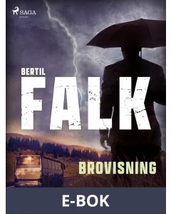 Brovisning, E-bok