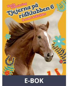 Tjejerna på ridklubben 6 - Å som i åskväder, E-bok