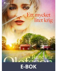 Ett mycket litet krig, E-bok
