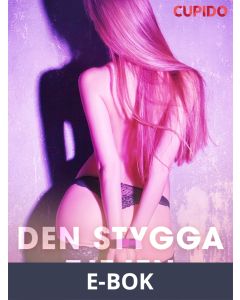 Den stygga tjejen - erotiska noveller, E-bok
