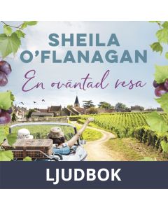 En oväntad resa, Ljudbok