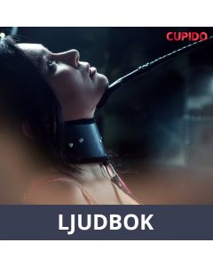 Kaulanauha, Ljudbok