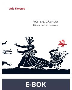 Vatten, gåshud : ett otal ord om romanen, E-bok