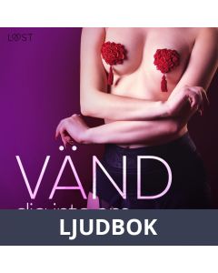 Vänd dig inte om: En samling av BDSM-erotik, Ljudbok