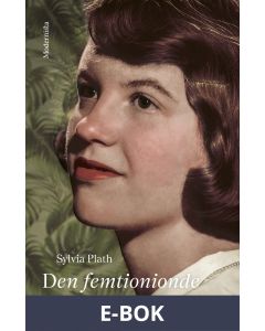 Deb femtionionde björnen, E-bok