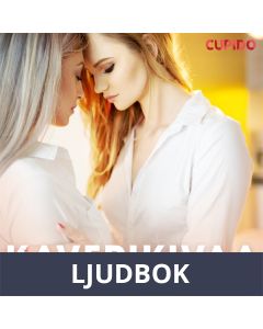 Kaverikivaa, Ljudbok