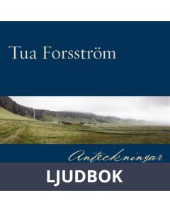 Anteckningar, Ljudbok