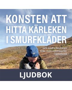 Konsten att hitta kärleken i smurfkläder, Ljudbok