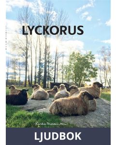 Lyckorus, Ljudbok