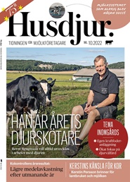 Tidningen Husdjur 11 nummer