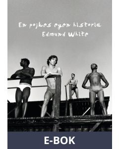 En pojkes egen historia, E-bok