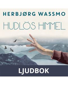 Hudlös himmel, Ljudbok
