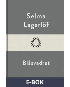 Blåsvädret, E-bok