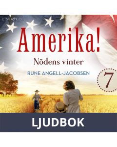 Nödens vinter, Ljudbok