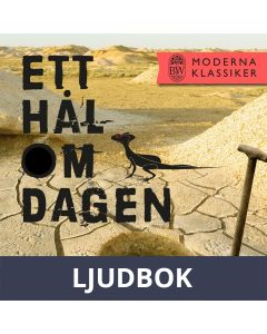 Ett hål om dagen, Ljudbok