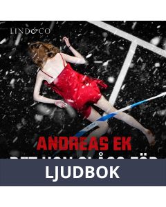 Det hon slåss för, Ljudbok