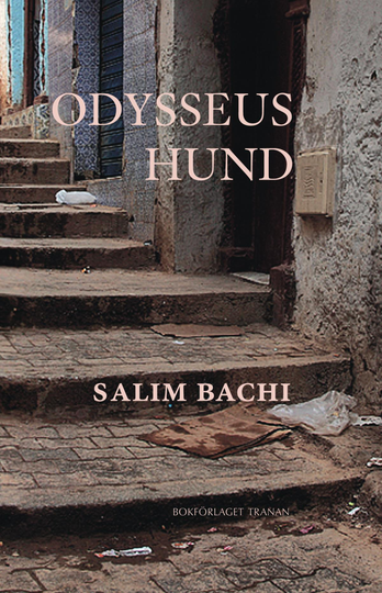 Odysseus Hund