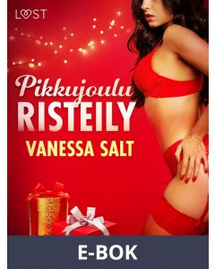 Pikkujouluristeily - eroottinen novelli, E-bok