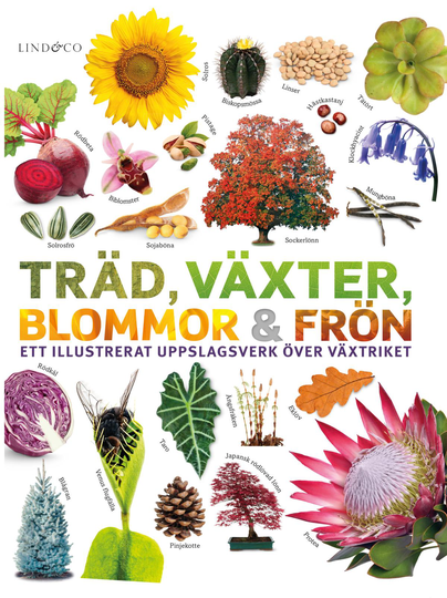 Träd, Växter, Blommor Och Frön - Ett Illustrerat Uppslagsverk Över Växtriket