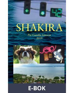 Shakira: En cirkusartist i skolmiljö. Resa till Asien., E-bok