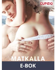 Matkalla kohti huippua, E-bok