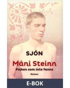 Máni Steinn Pojken som inte fanns, E-bok