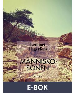 Människosonen, E-bok