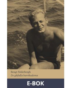 De gåtfulla barrikaderna, E-bok