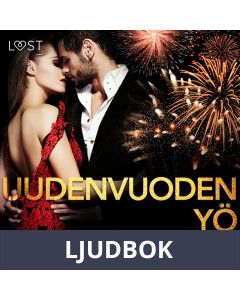 Uudenvuodenyö - eroottinen novelli, Ljudbok