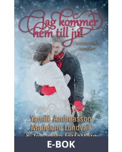Jag kommer hem till jul, E-bok