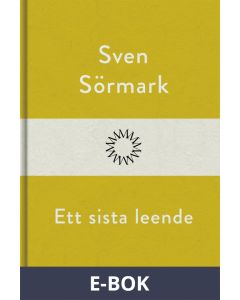 Ett sista leende, E-bok