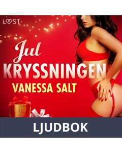 Julkryssningen - erotisk julnovell, Ljudbok