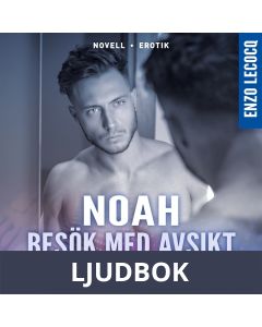 Besök med avsikt, Ljudbok