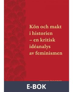 Kön och makt i historien - en kritisk idéanalys av feminismen, E-bok