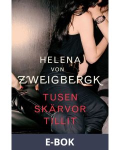 Tusen skärvor tillit, E-bok