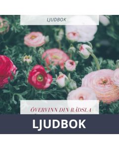 Övervinn din rädsla för bin och getingar, Ljudbok