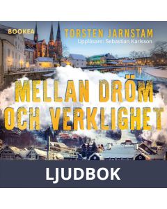 Mellan dröm och verklighet, Ljudbok