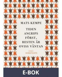 Tiden angrips först, resten är oviss väntan, E-bok
