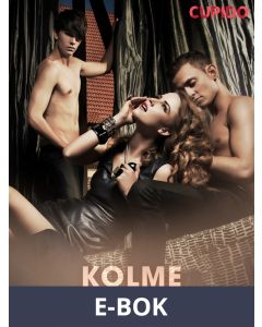 Kolme tähdenlentoa, E-bok