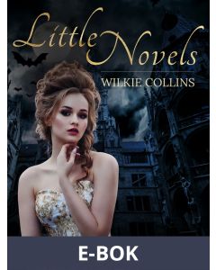 Little Novels, E-bok