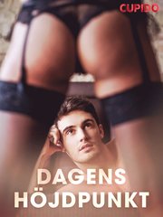 Dagens höjdpunkt