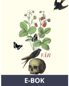 Vår, E-bok