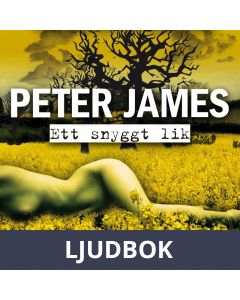 Ett snyggt lik, Ljudbok