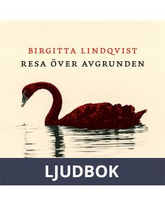 Resa över avgrunden, Ljudbok