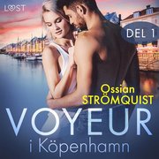 Voyeur i Köpenhamn del 1 - erotisk novell