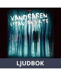 Vandraren utan ansikte, Ljudbok